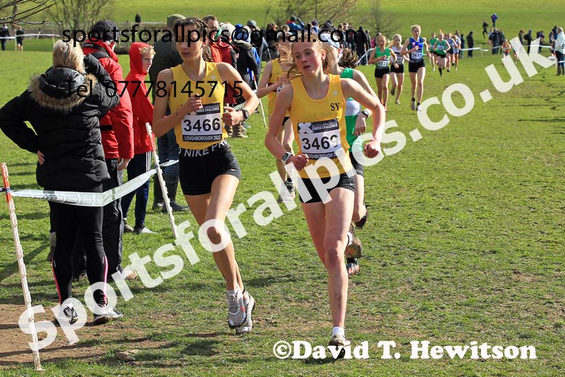 Womens Under-20s 2022 CAU Inter Counties Cross Country, Prestwold Hall, Loughborough.  Photo: David T. Hewitson/Sports for All Pics